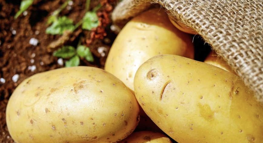 يهدد الأمن الغذائي.. كيف ستواجه أوروبا نقص إنتاج البطاطس؟